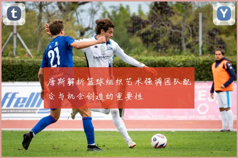 唐斯解析篮球组织艺术强调团队配合与机会创造的重要性